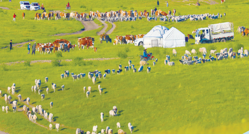 QQ20251121-095617.png QQ20251121-095617.png