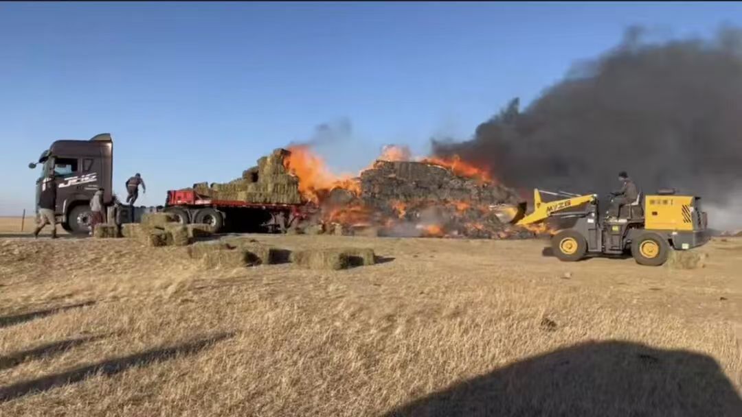 c603d0c0695783baa547786f6e608c1c.jpg c603d0c0695783baa547786f6e608c1c.jpg