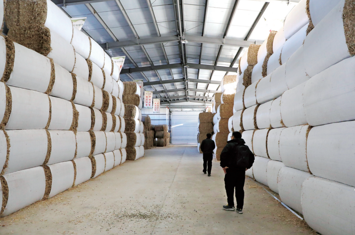 1852343d-cf57-407f-a810-ae07693fb6ac.png 1852343d-cf57-407f-a810-ae07693fb6ac.png