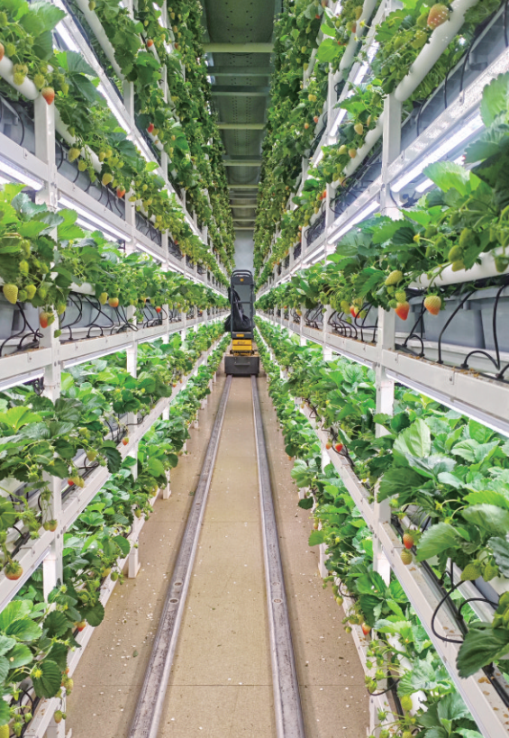 c2f5a95b-beea-4286-9c6a-b41ae77d5702.png c2f5a95b-beea-4286-9c6a-b41ae77d5702.png