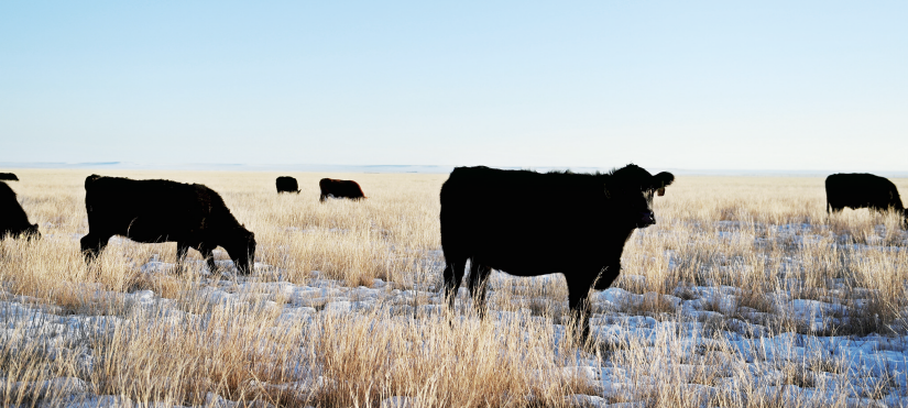 QQ20251208-094616.png QQ20251208-094616.png