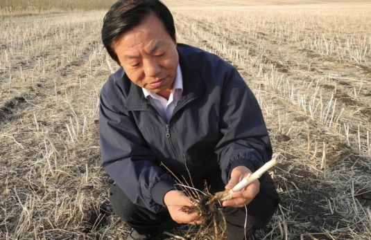 QQ20251208-121532.png QQ20251208-121532.png