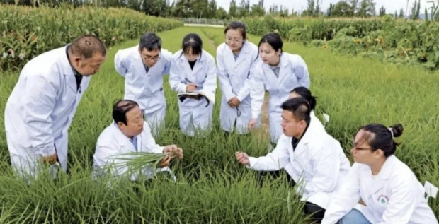 QQ20251208-121541.png QQ20251208-121541.png