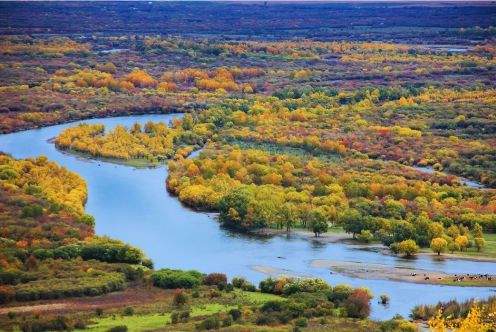 QQ截图20251001104448.png QQ截图20251001104448.png