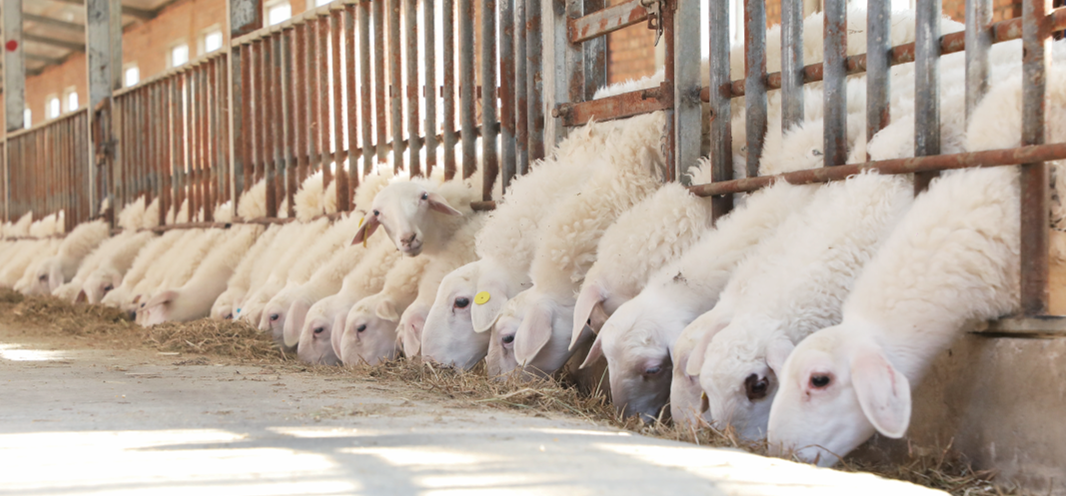 QQ截图20250224163936.png QQ截图20250224163936.png