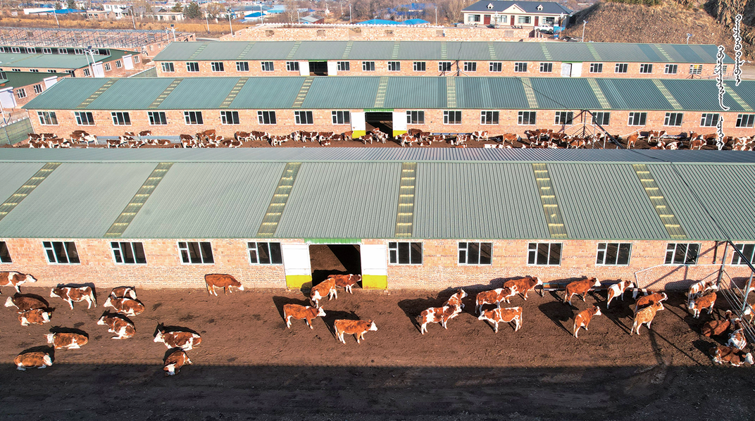 QQ截图20251001104448.png QQ截图20251001104448.png