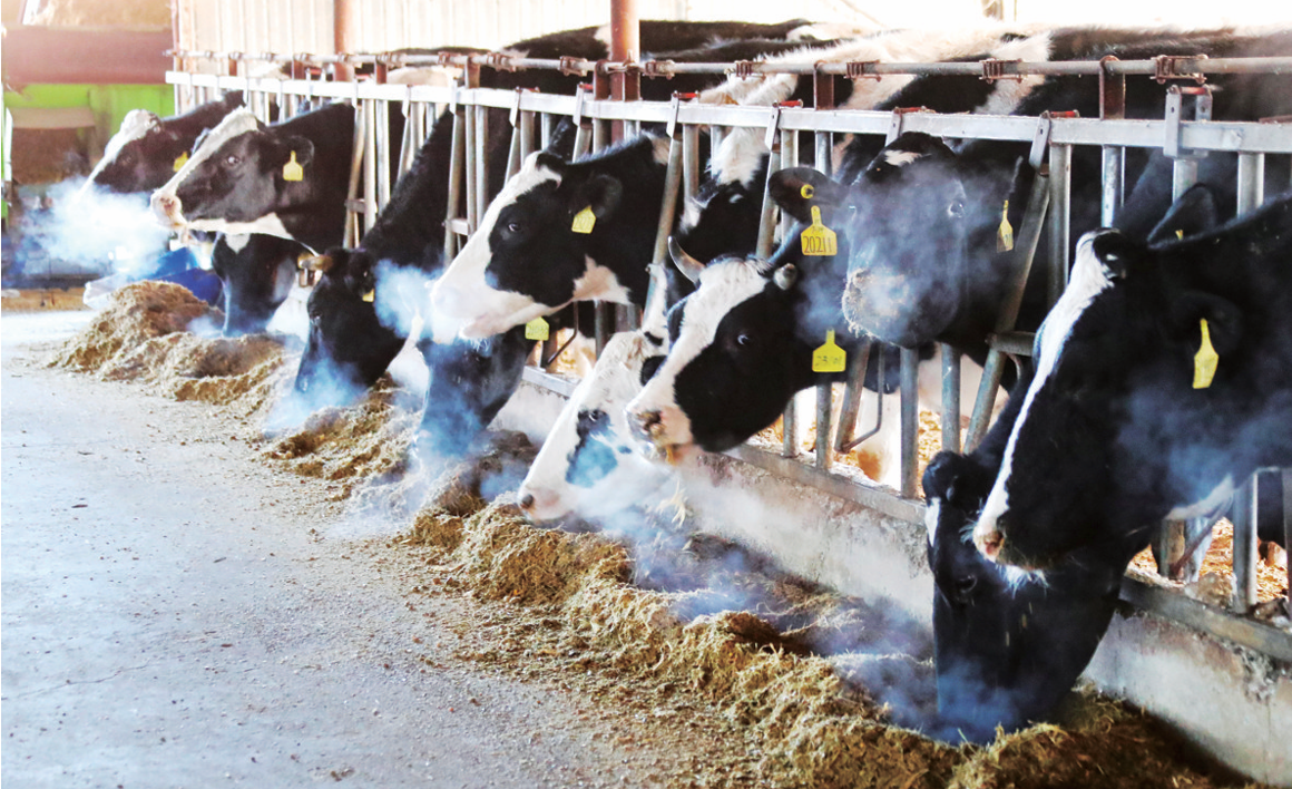 QQ截图20251117161443.png QQ截图20251117161443.png