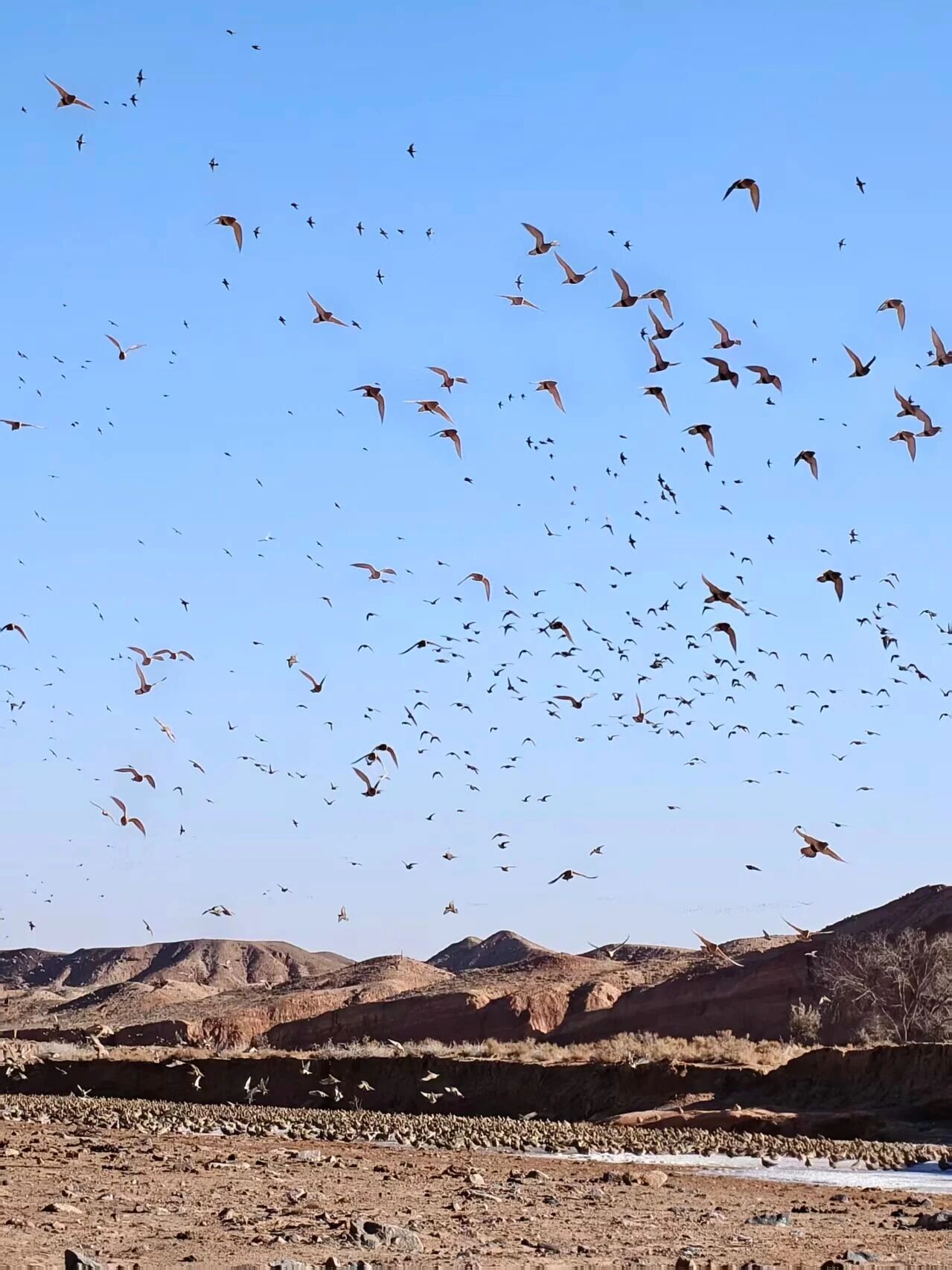 微信图片_2025-12-12_104209_028.jpg 微信图片_2025-12-12_104209_028.jpg