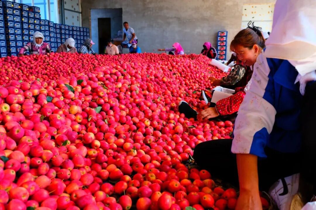 640 (2).jpg 640 (2).jpg