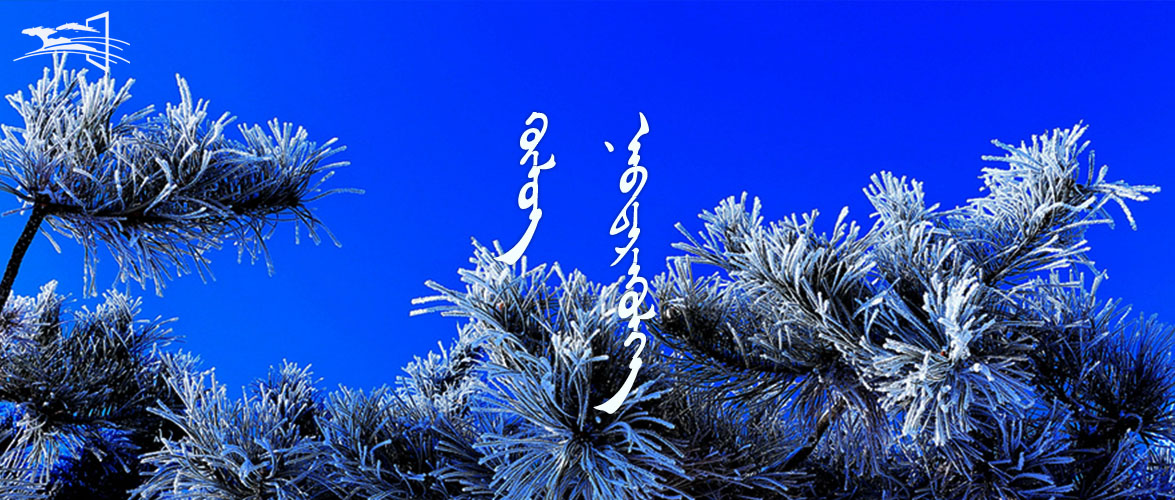 新 语音播报 封面.jpg