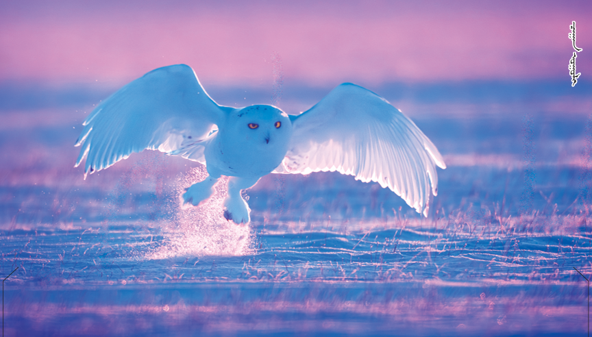 QQ截图20251222112649.png QQ截图20251222112649.png