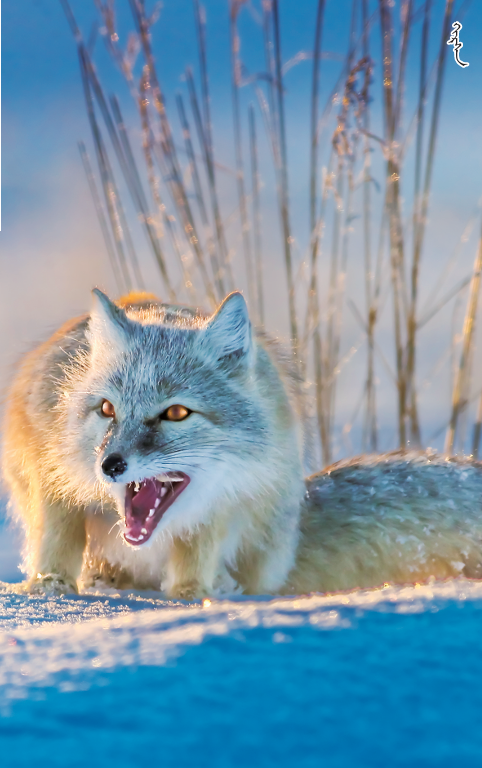 QQ截图20251222112616.png QQ截图20251222112616.png