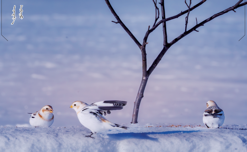 QQ截图20251222112534.png QQ截图20251222112534.png