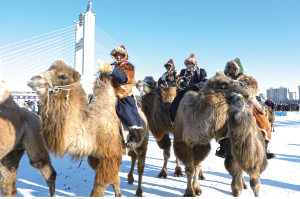 QQ20260107-103614.png QQ20260107-103614.png