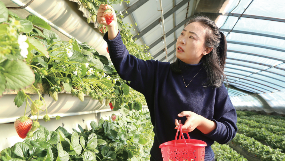 QQ20260107-105916.png QQ20260107-105916.png