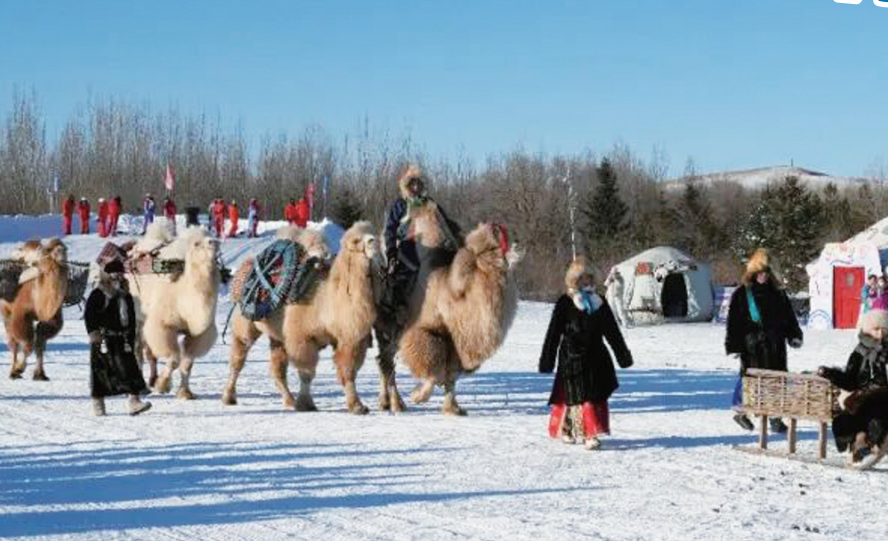 64260493-6686-4d74-b42d-6be106733d06.png 64260493-6686-4d74-b42d-6be106733d06.png