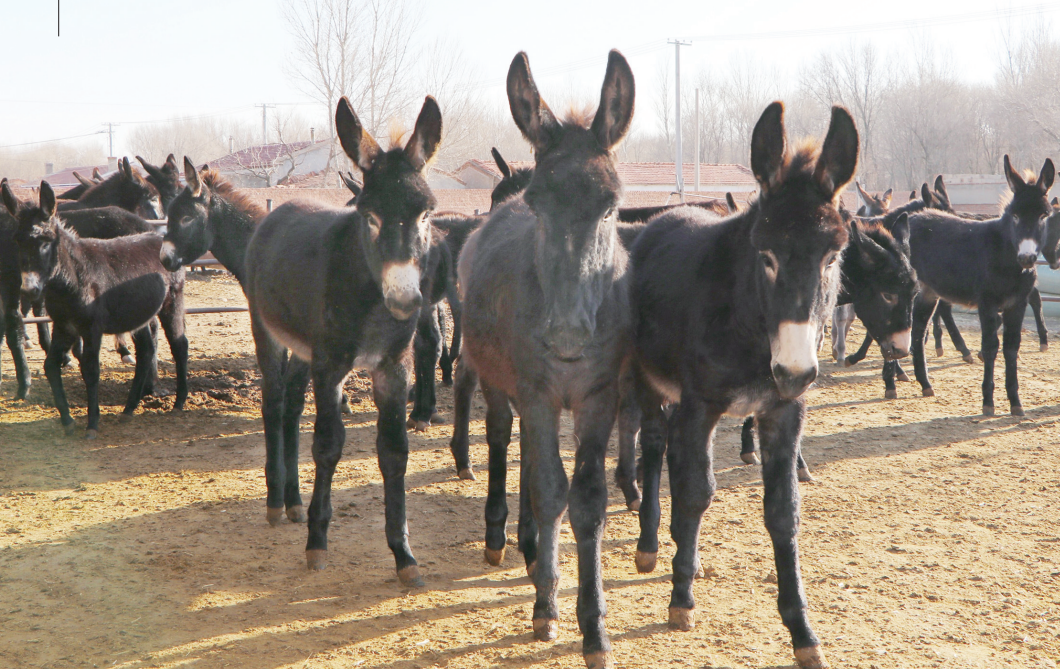 6dc583de-a5ab-433f-b0d3-d27bbbbc23e3.png 6dc583de-a5ab-433f-b0d3-d27bbbbc23e3.png