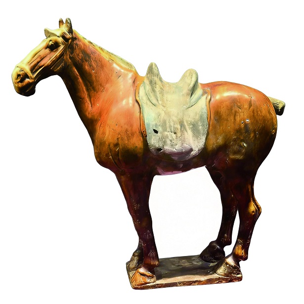 jimeng-2026-01-21-6673.jpg jimeng-2026-01-21-6673.jpg