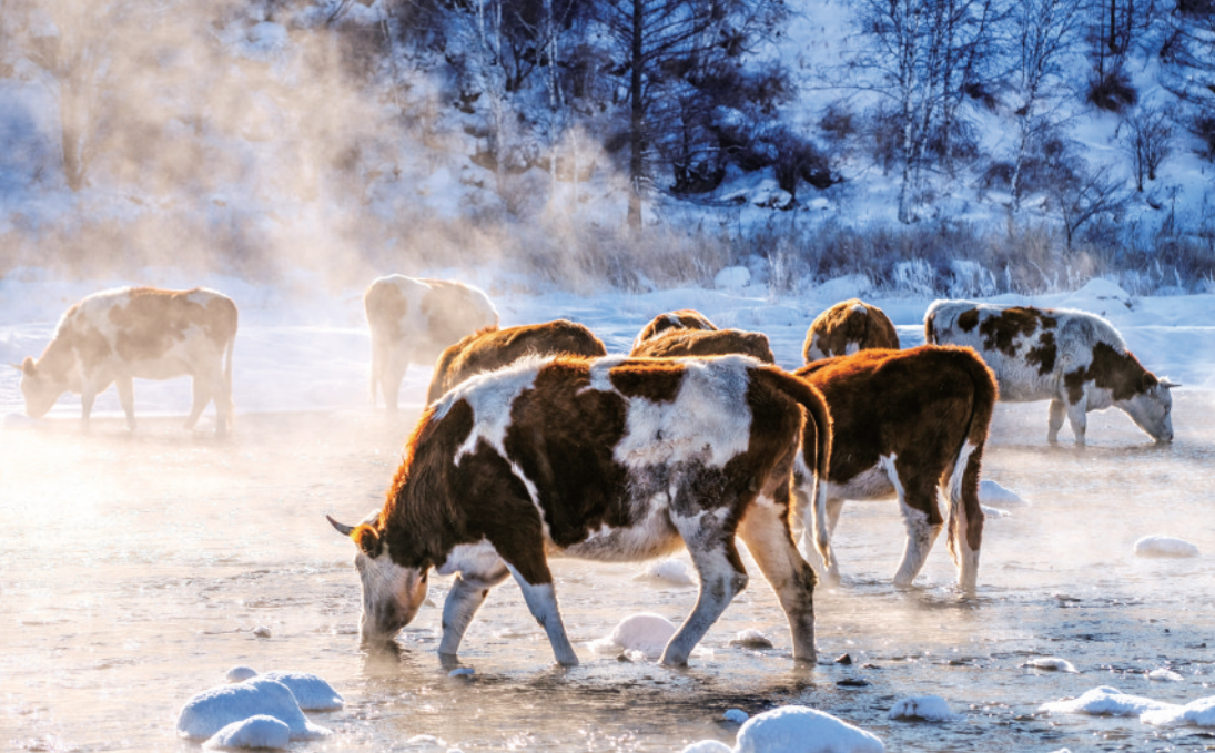 6ae143a1-8242-4d28-a445-21dc244f7375.png 6ae143a1-8242-4d28-a445-21dc244f7375.png