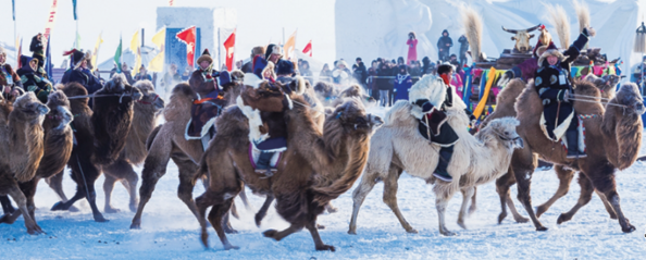 QQ20260126-112548.png QQ20260126-112548.png