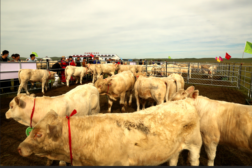 QQ截图20260126170102.png QQ截图20260126170102.png