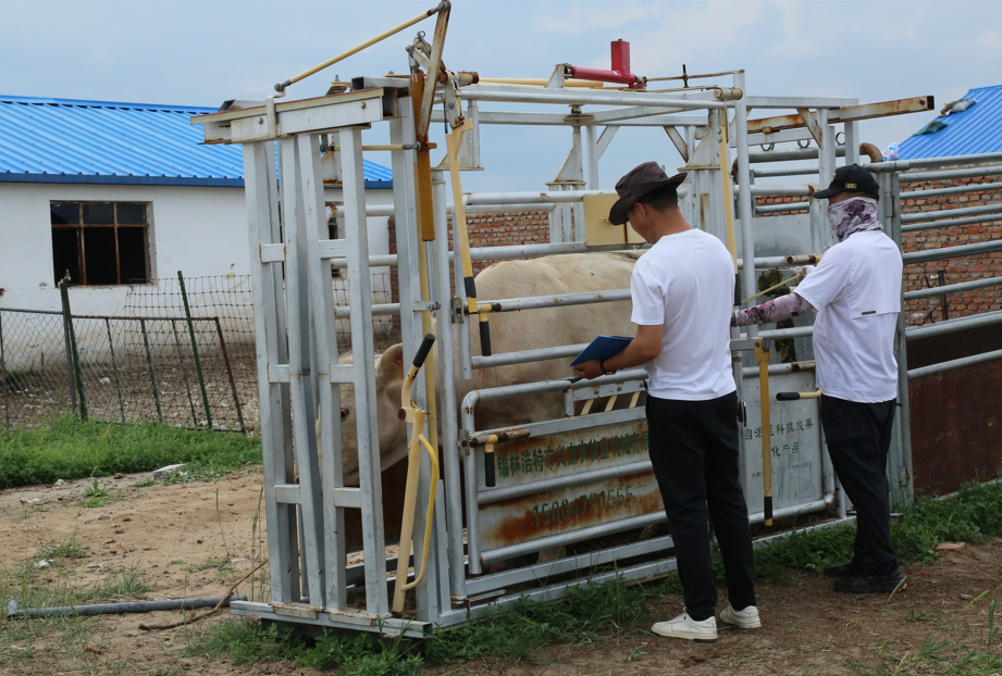 QQ截图20260126170033.png QQ截图20260126170033.png