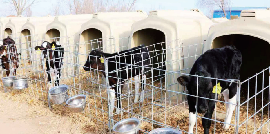 cfd848a6-d6f1-4113-b5b5-93abd8cb676e.png cfd848a6-d6f1-4113-b5b5-93abd8cb676e.png