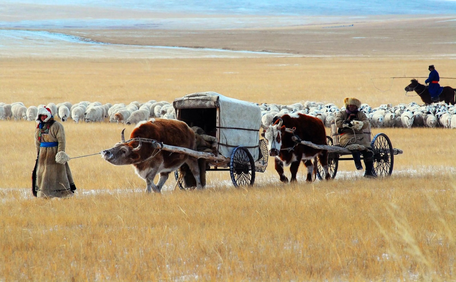 微信图片_20260213104403_420_48.jpg 微信图片_20260213104403_420_48.jpg