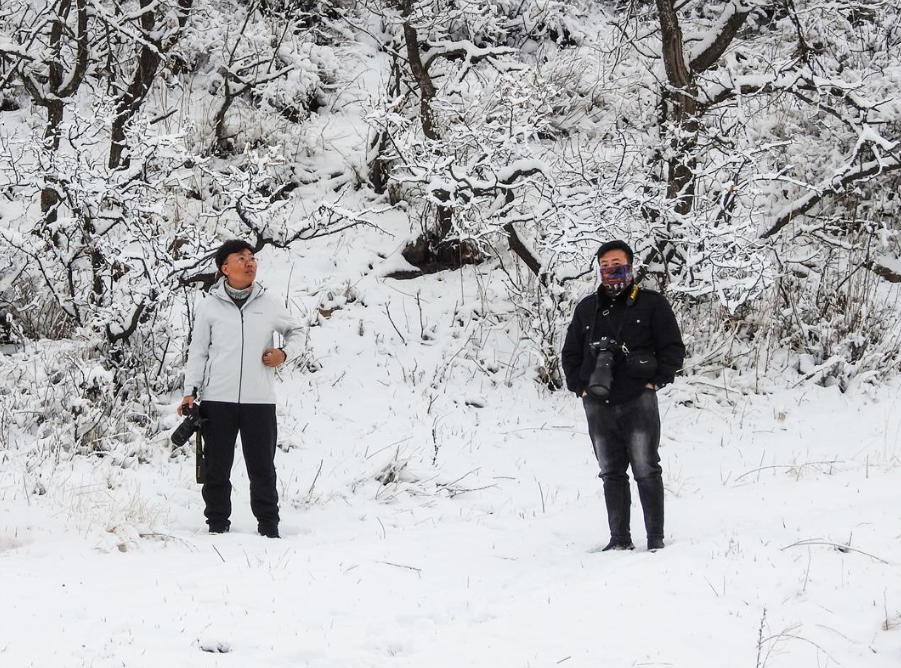 QQ截图20260219121114.png QQ截图20260219121114.png