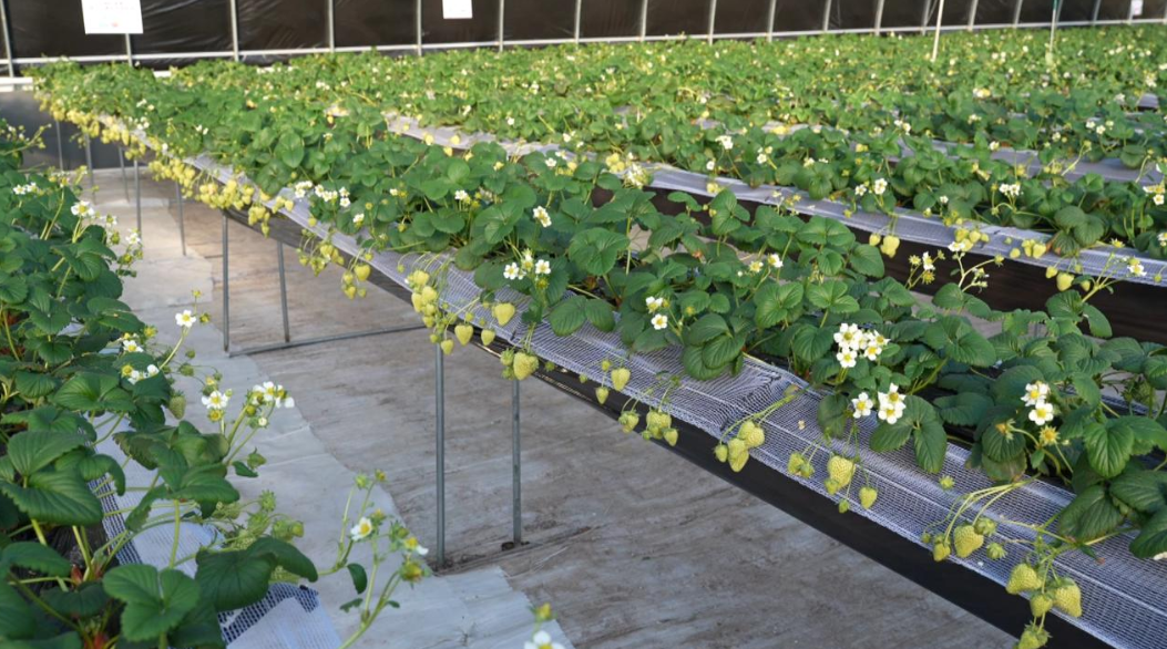 QQ截图20260219121114.png QQ截图20260219121114.png