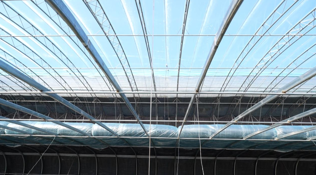 QQ截图20260220121158.png QQ截图20260220121158.png