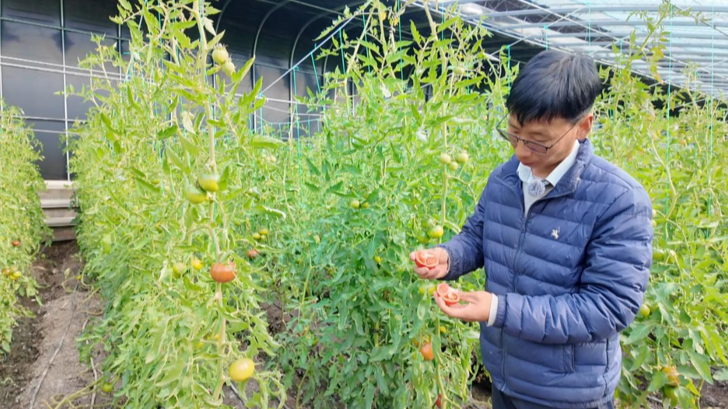 QQ截图20260220121215.png QQ截图20260220121215.png