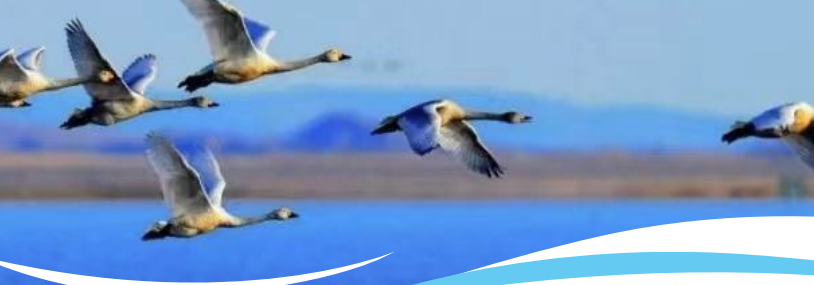 QQ20260227-110430.png QQ20260227-110430.png