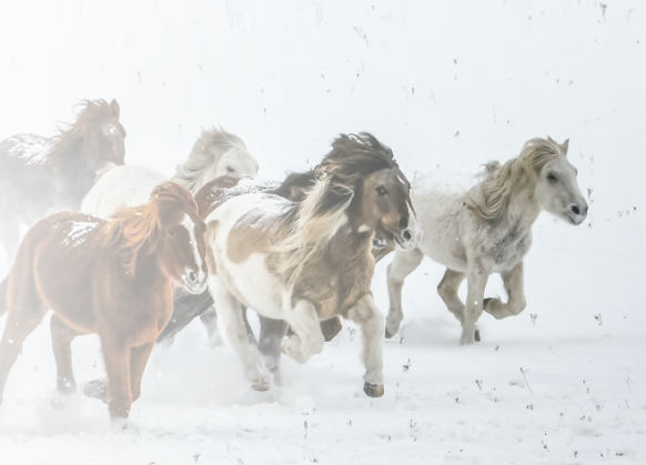 QQ20260304-111008.png QQ20260304-111008.png