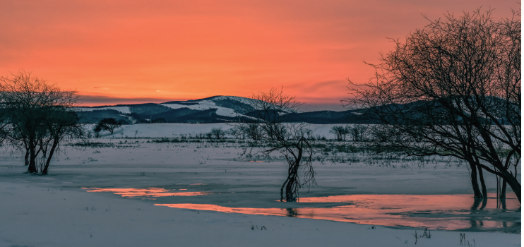 QQ20260304-111021.png QQ20260304-111021.png