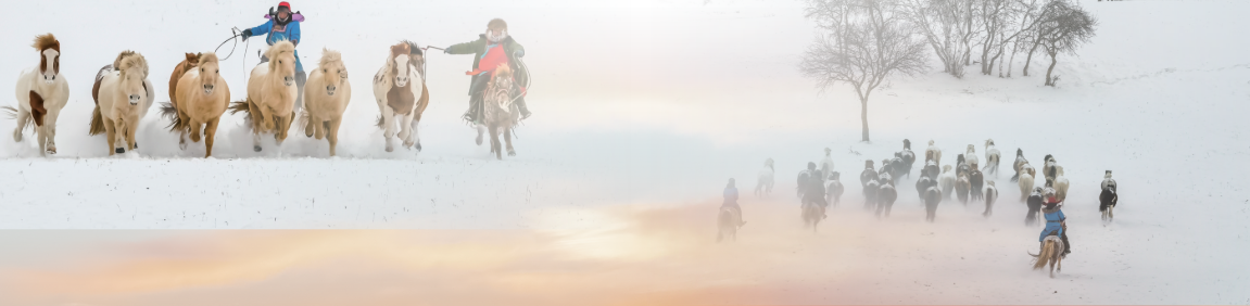 QQ20260304-110943.png QQ20260304-110943.png