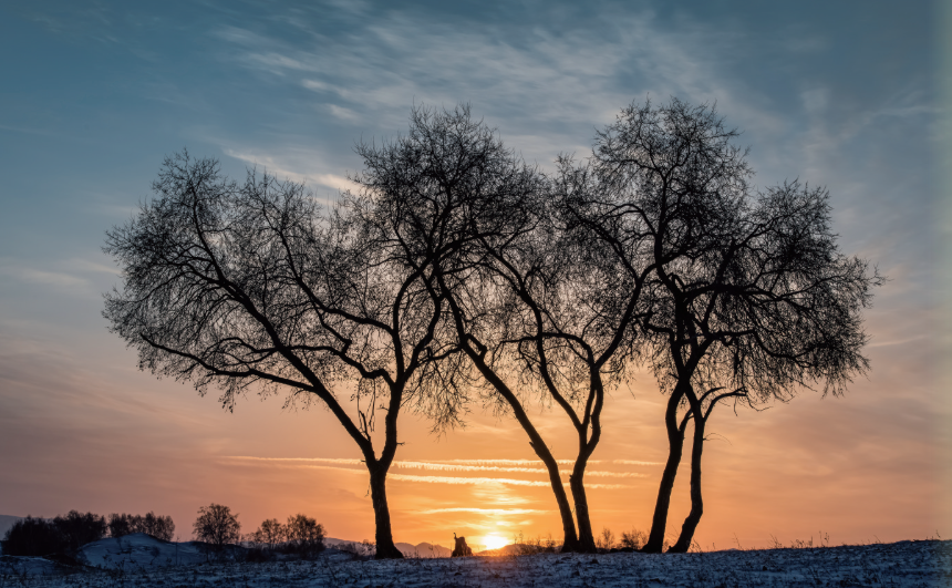 QQ20260304-110911.png QQ20260304-110911.png