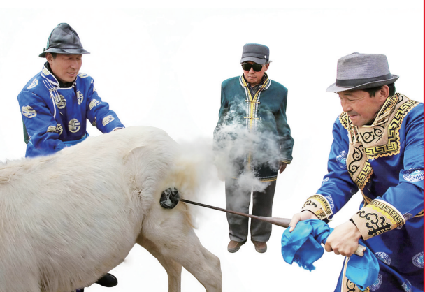 QQ20260304-163147.png QQ20260304-163147.png