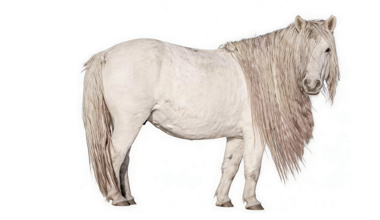 QQ20260304-163212.png QQ20260304-163212.png