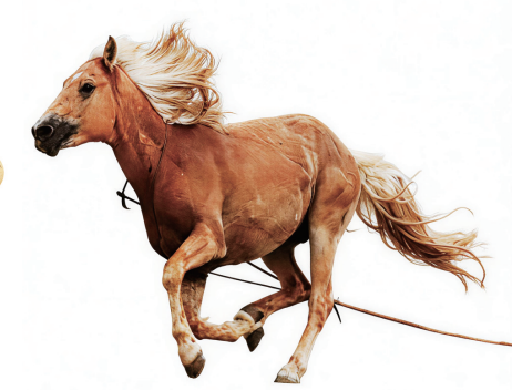 QQ20260304-163230.png QQ20260304-163230.png