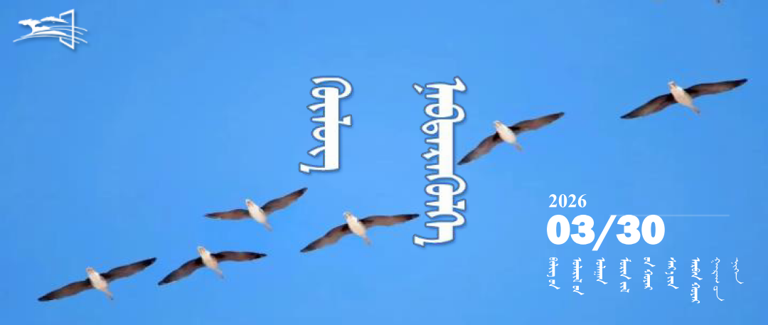 01封面模板_01.png 01封面模板_01.png