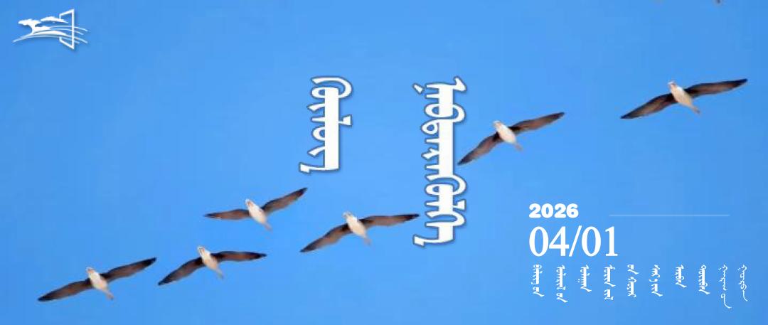 1000101010101010101010101010101010101014.1封面模板0101.jpg 1000101010101010101010101010101010101014.1封面模板0101.jpg