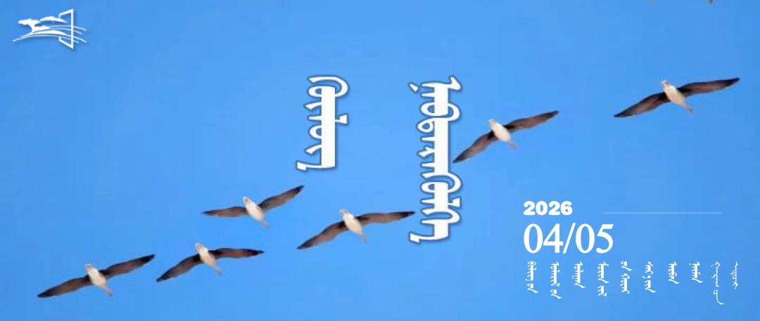 1000101010101010101010101010101010101014.1封面模板0101.jpg 1000101010101010101010101010101010101014.1封面模板0101.jpg