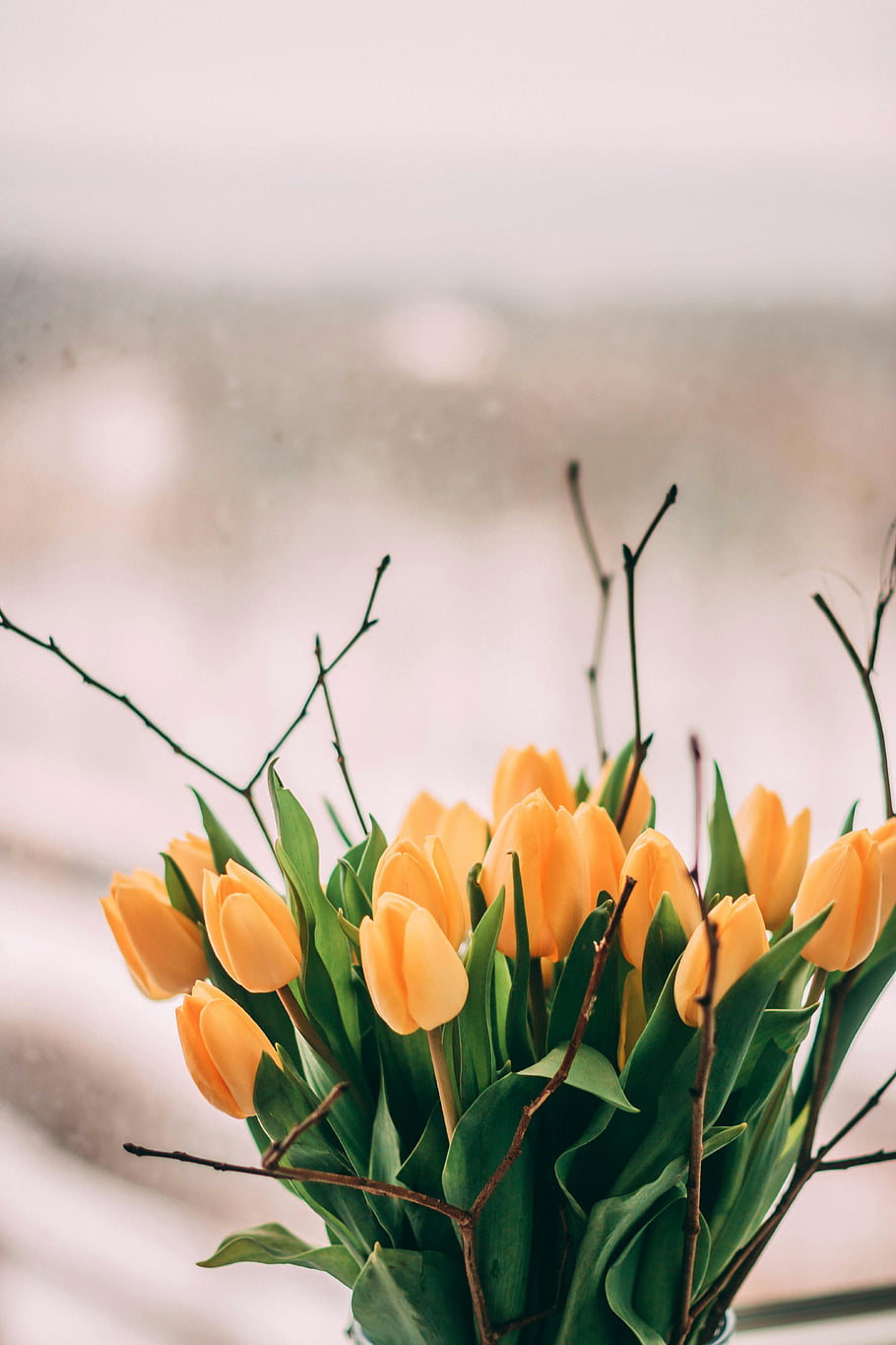 yellow-tulip-flowers-bouquet-vibrant-yellow-tulips-blooming-tulips-natural-beauty-soft-light-window-view-floral-arrangement-spring-flowers-tulip-bouquet.jpg