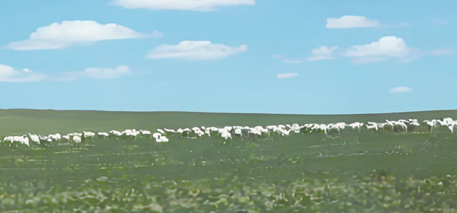 QQ20260814-164221.png QQ20260814-164221.png